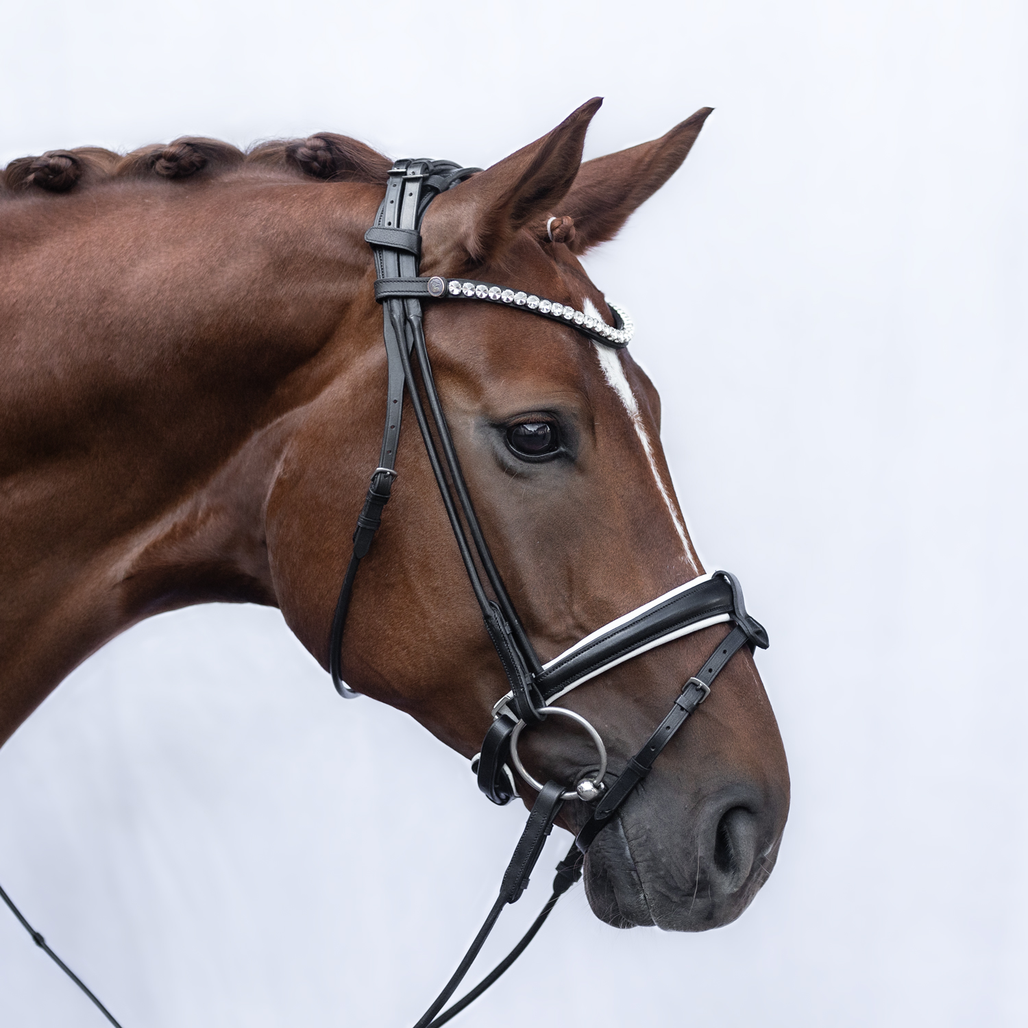 Design Your Bridle Classic