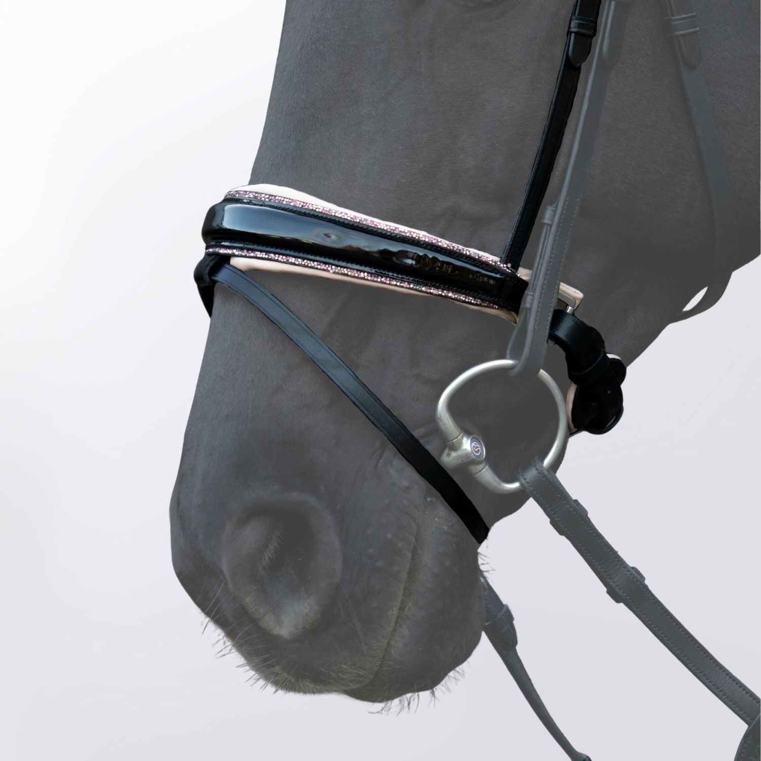 Nasenriemen Glory Rose