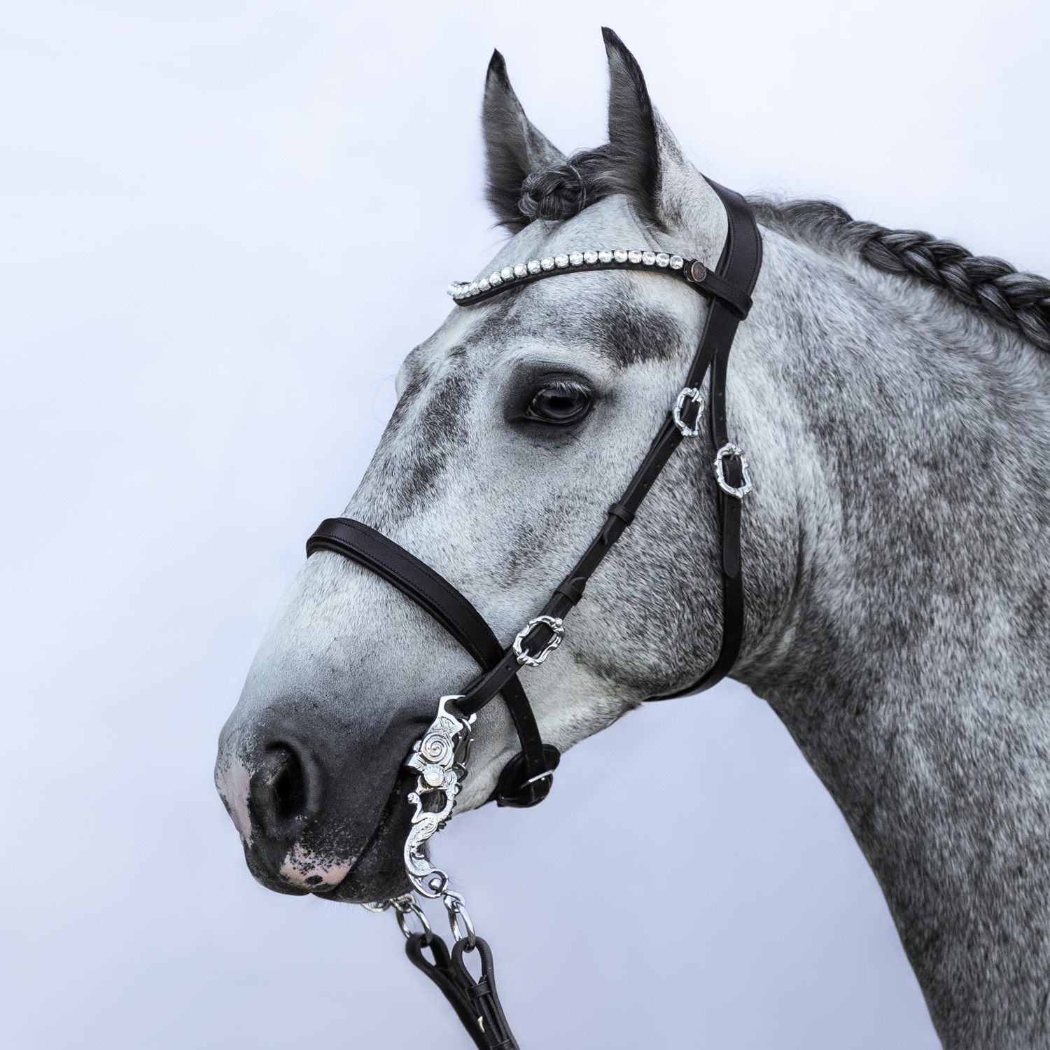 BRIDLERY Trense Leave - Anatomische Pferdetrense Mit Switch-It System